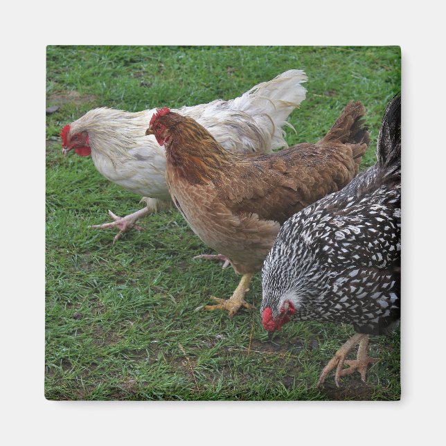 Imán Tres Amigos (Frente)