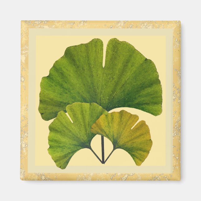 Imán Tres artes y artesanías que queda Ginkgo (Frente)