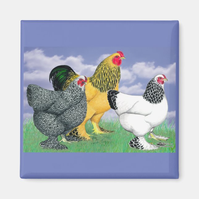 Imán Tres Brahmas (Frente)