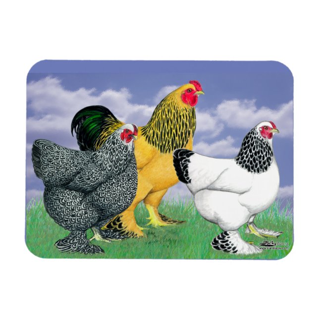 Imán Tres Brahmas (Horizontal)