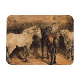Imán Tres caballos en su establo