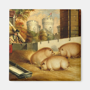 Imán Tres cerdos con castillo en el fondo