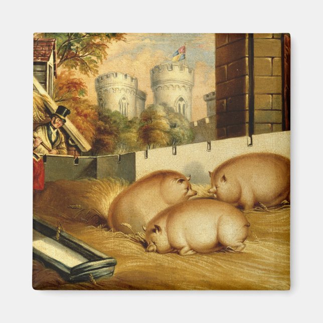 Imán Tres cerdos con castillo en el fondo (Frente)