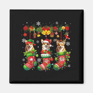Imán Tres corgis de Santa Elf dentro del hijo del propi