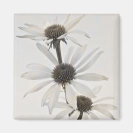 Imán Tres flores de cono blanco