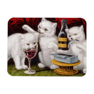 Imán Tres gatitos jolly en la fiesta