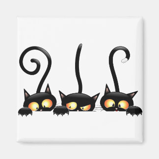 Imán Tres gatos negros