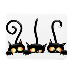 Imán Tres gatos negros curiosos
