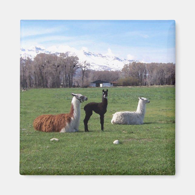 Imán Tres Llamas En Campo (Frente)