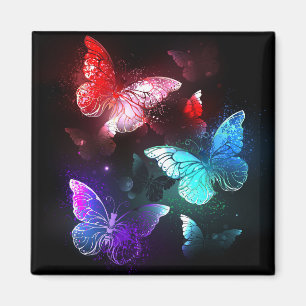Imán Tres mariposas brillantes sobre fondo nocturno