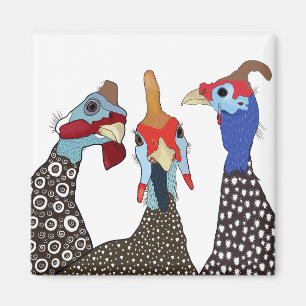 Imán Tres pájaros de aves de corral de Guinea con estam