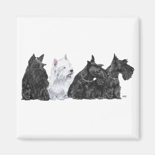 Imán Tres Scotties curiosos y un Westie