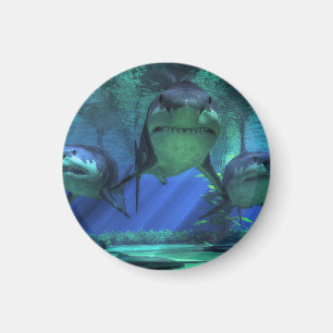 Imán Tres tiburones