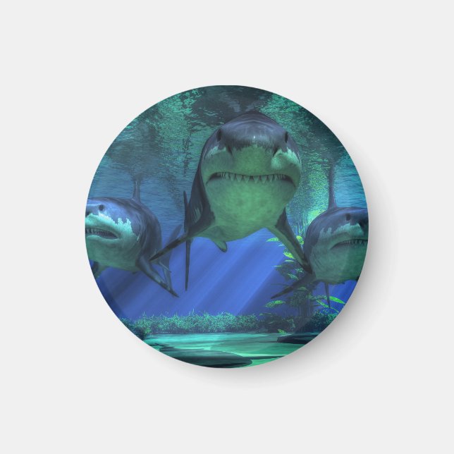 Imán Tres tiburones (Frente)