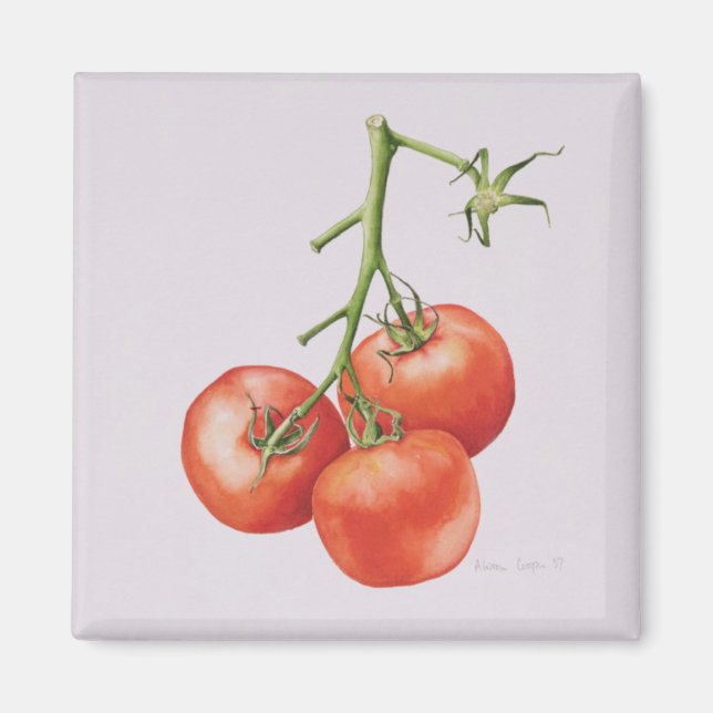 Imán Tres tomates en el vino 1997 (Frente)