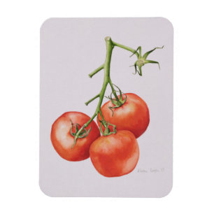Imán Tres tomates en la vid 1997
