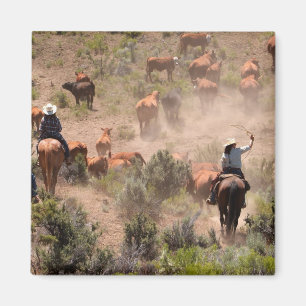 Imán Tres vaqueros y vaqueras que conducen ganado