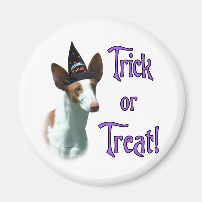 Imán Trick de hound ibicenco (Frente)
