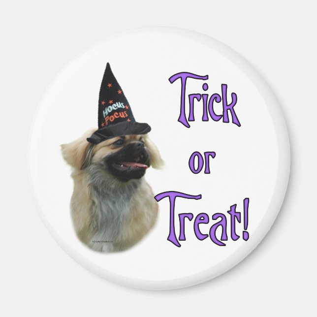 Imán Trick español tibetano (Frente)