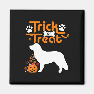 Imán Trick O Trek Duck Tolling Retriever Dog Halloween