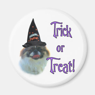 Imán Trick Pekingese