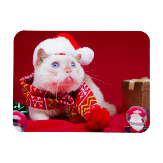 Imán Trident the Cat Navidades Magnet