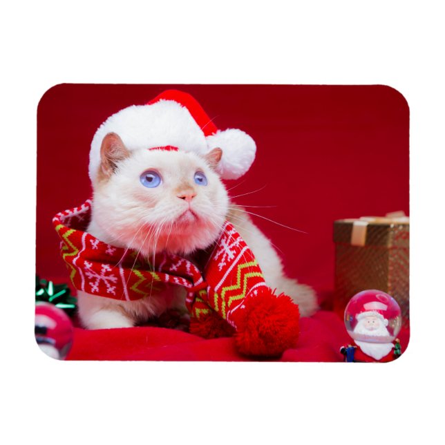 Imán Trident the Cat Navidades Magnet (Horizontal)