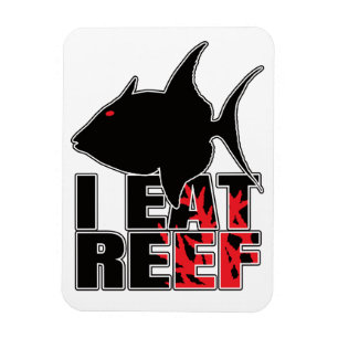 Imán Triggerfids Triggerfish Reef Fish - Marine Geek