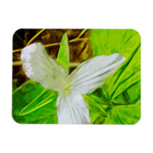 Imán Trillium de nieve es un resumen de Flor Silvestre 