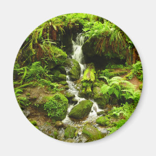 Imán Trillium Falls en el Parque Nacional Redwood