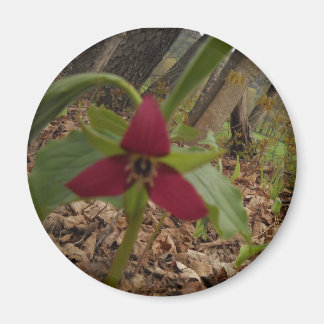 Imán Trillium rojo