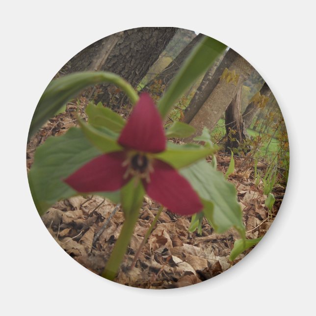 Imán Trillium rojo (Frente)