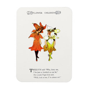Imán Trillium y Tiger-Lily, Whimsical Flower Book Art