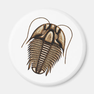 Imán Trilobite Fridge Magnet