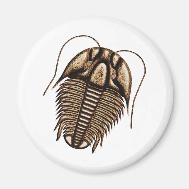 Imán Trilobite Fridge Magnet (Frente)