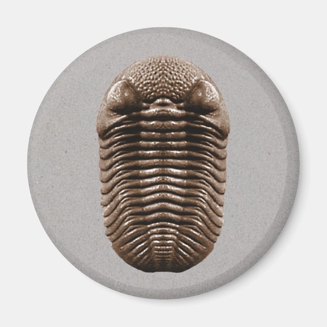 Imán Trilobite Magnet (Frente)