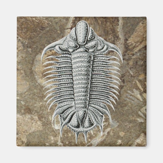 Imán Trilobite Magnet (Frente)