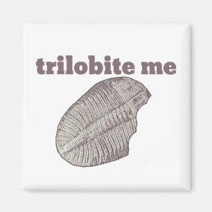 Imán Trilobite yo