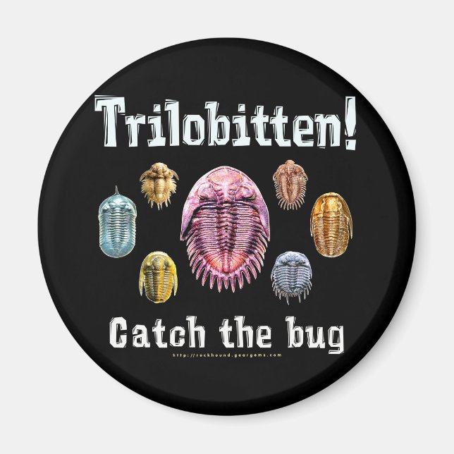 Imán Trilobitten (Frente)