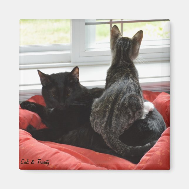 Imán Trinidad y Cali (Frente)