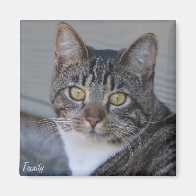 Imán Trinity (Frente)