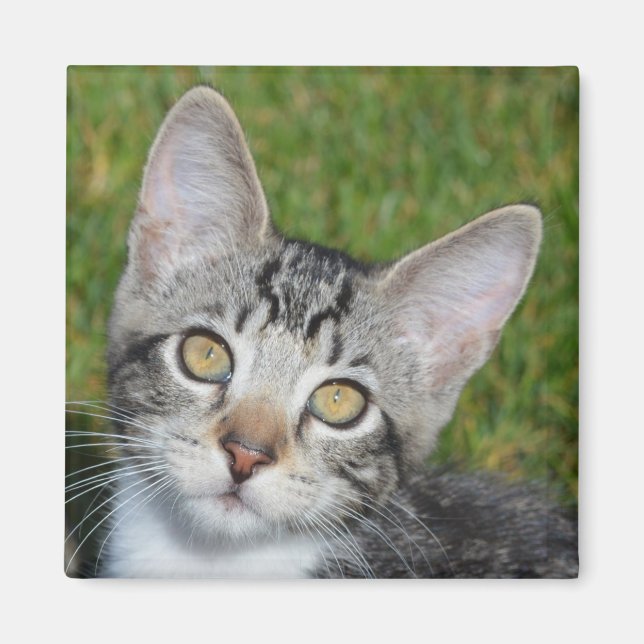 Imán Trinity Baby (Frente)