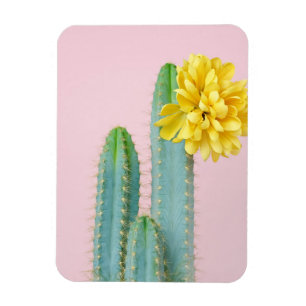 Imán Trío azul del cactus