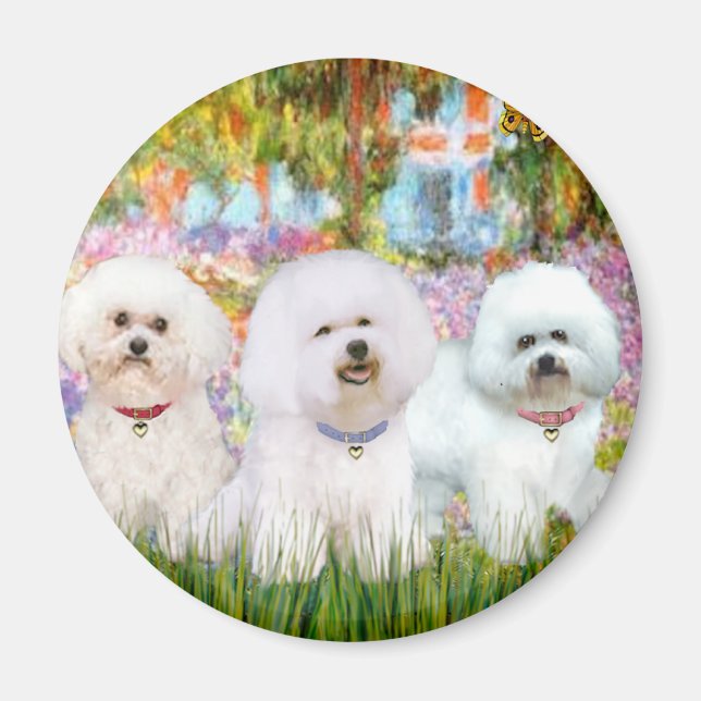 Imán Trío de Bichon Frise - Jardín (VG) (Frente)