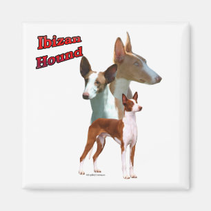 Imán Trío de hound ibicenco 2 - Magnet