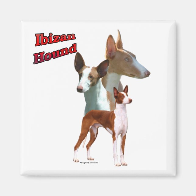 Imán Trío de hound ibicenco 2 - Magnet (Frente)