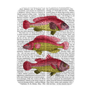 Imán Trío de peces rojo y amarillo