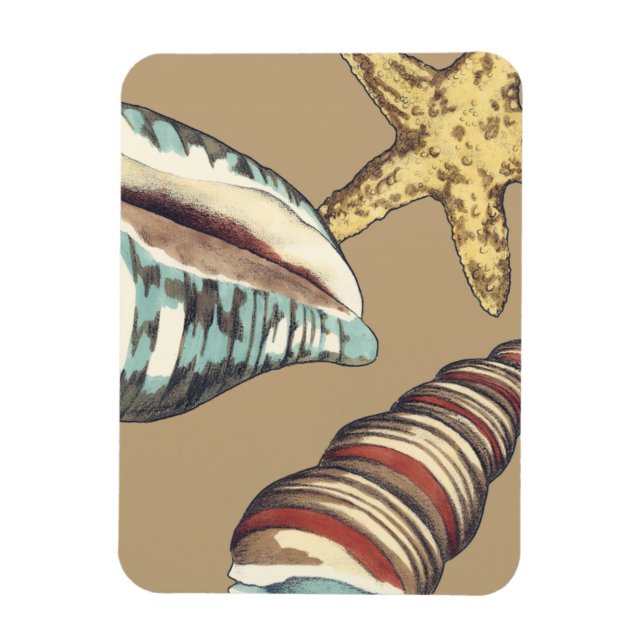 Imán Trío de Shell en Khaki (Vertical)