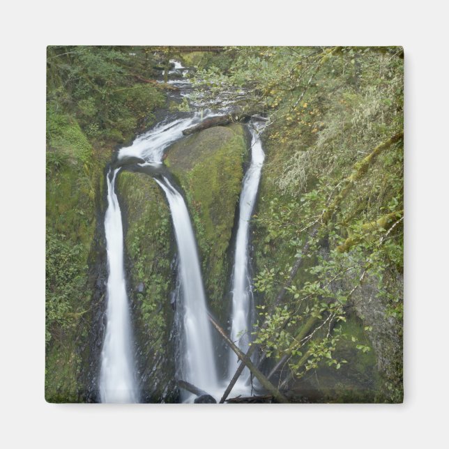 Imán Triple Falls, desfiladero del río Columbia (Frente)