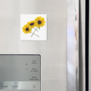 Imán Triple girasol